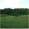 apatur ilia biotope don
